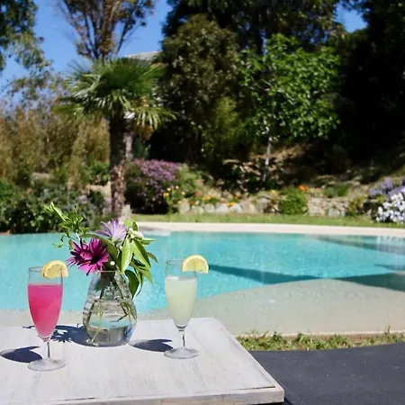 Studio, Vue Sur Avec Piscine Saint-Florent (Corsica)